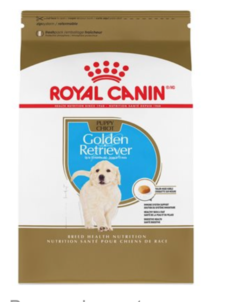 Royal Canin Golden Retriever PUPPY